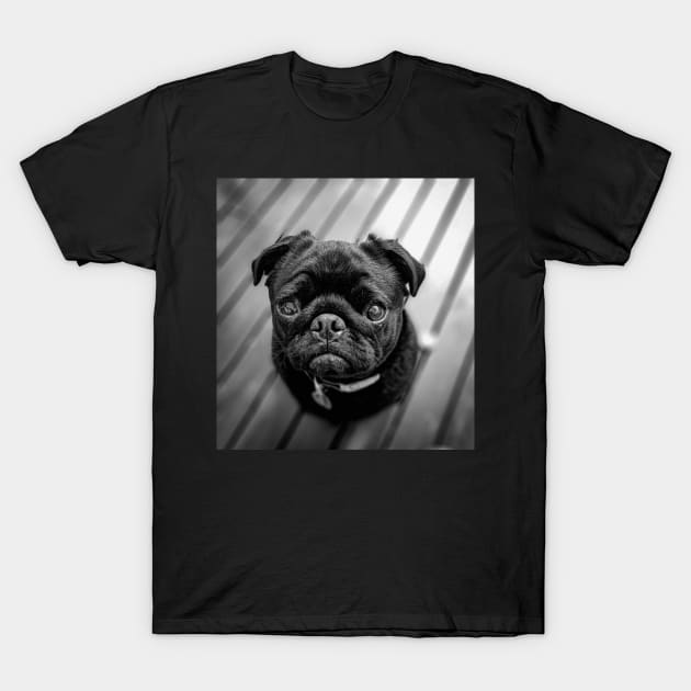 Little Black Pug Dog T-Shirt by silentrob668